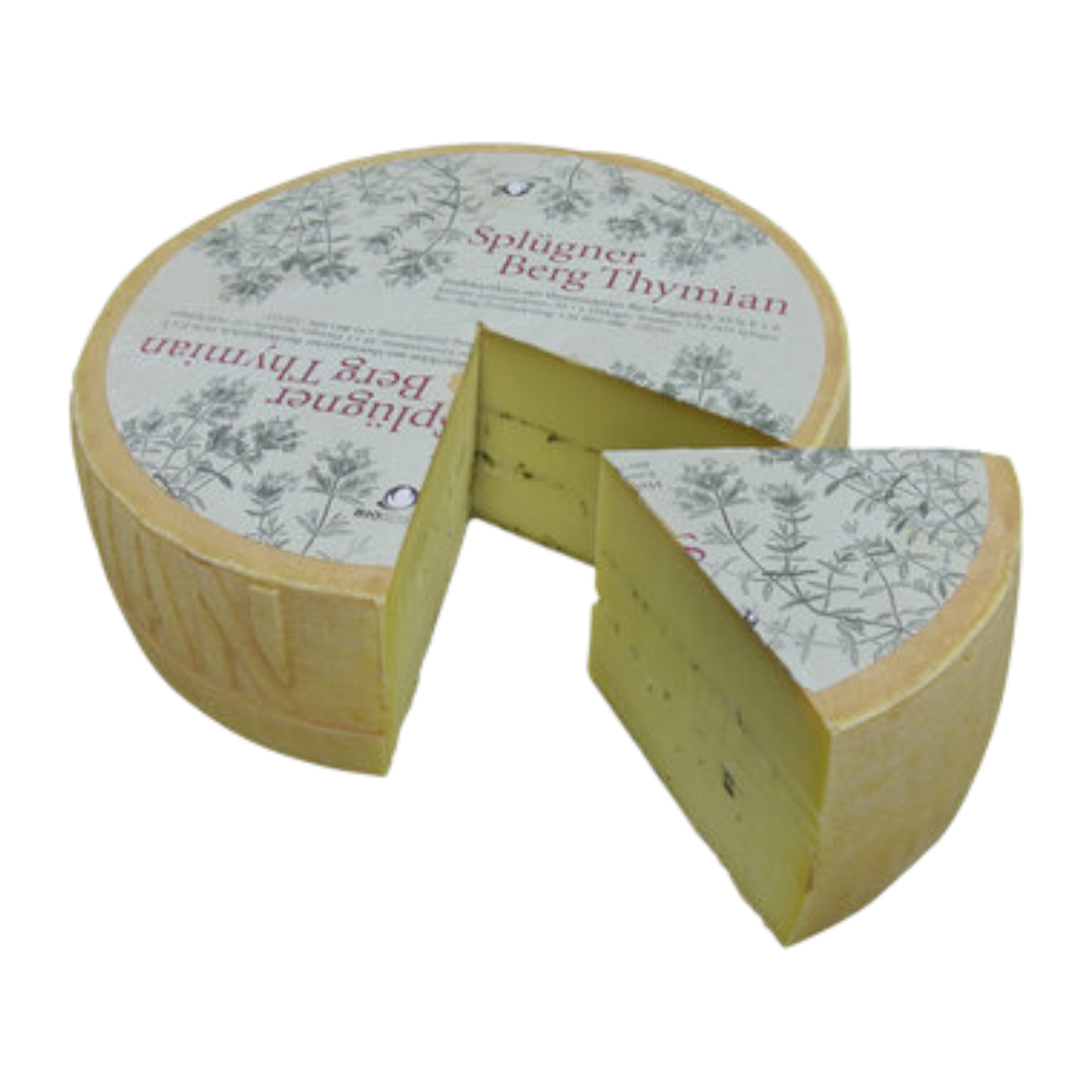 Splügner Bergthymian